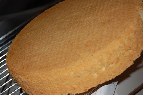 Pandispanya Hamuru Tarifi ve Malzemeleri